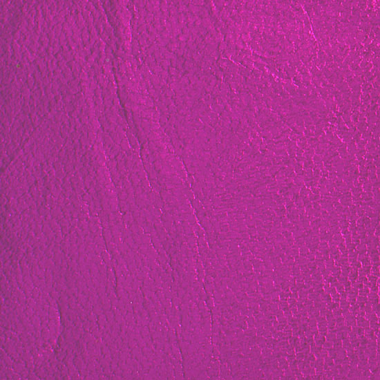 Fuxia