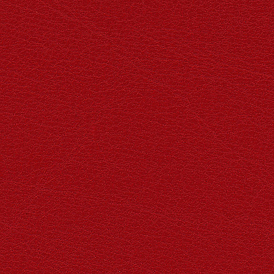 Papavero